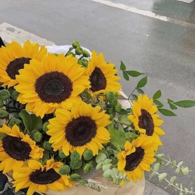 九游会演示计划